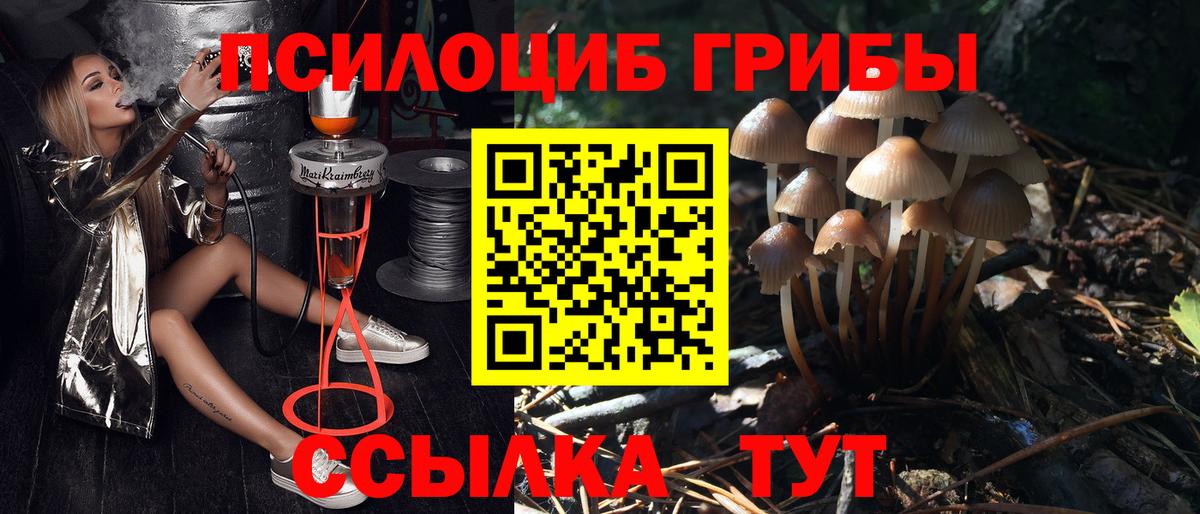 Псилоцибиновые грибы Cubensis  Вход с VPN  Тамбов 